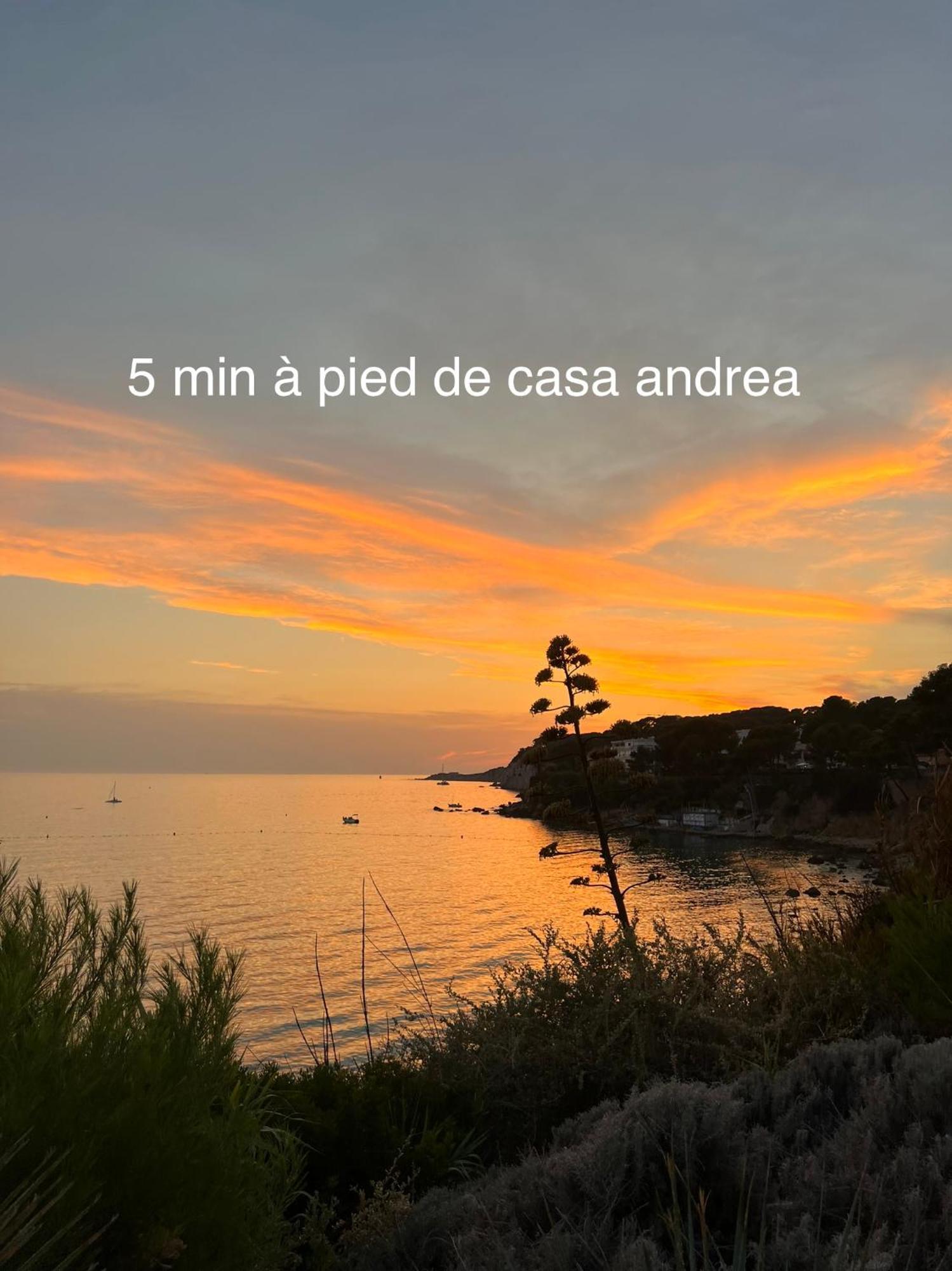 Casa Andrea Appartement Tout A Pied Avec Grand Jardin サナリー・シュル・メール エクステリア 写真